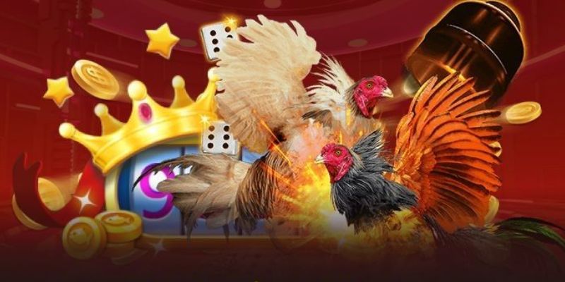 Cách chơi cực đơn giản